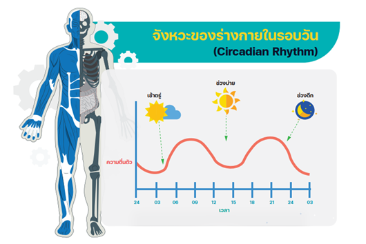 รู้จักอาการ “เหนื่อยล้า” สัญญาณเตือนก่อนหลับใน