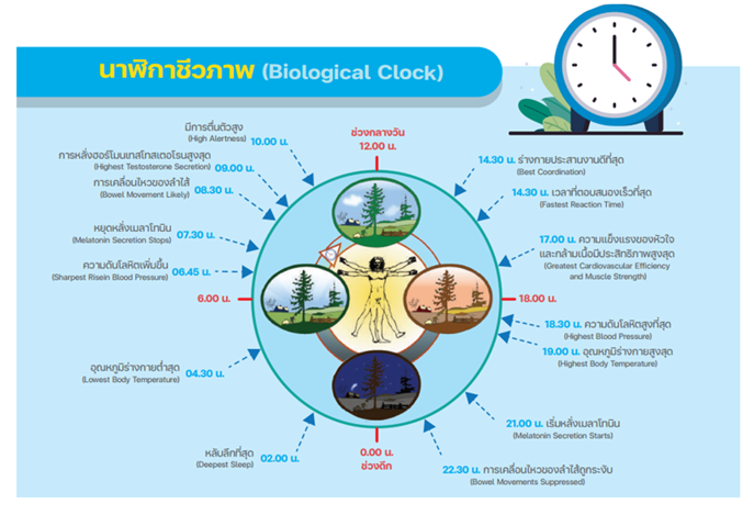 รู้จักอาการ “เหนื่อยล้า” สัญญาณเตือนก่อนหลับใน